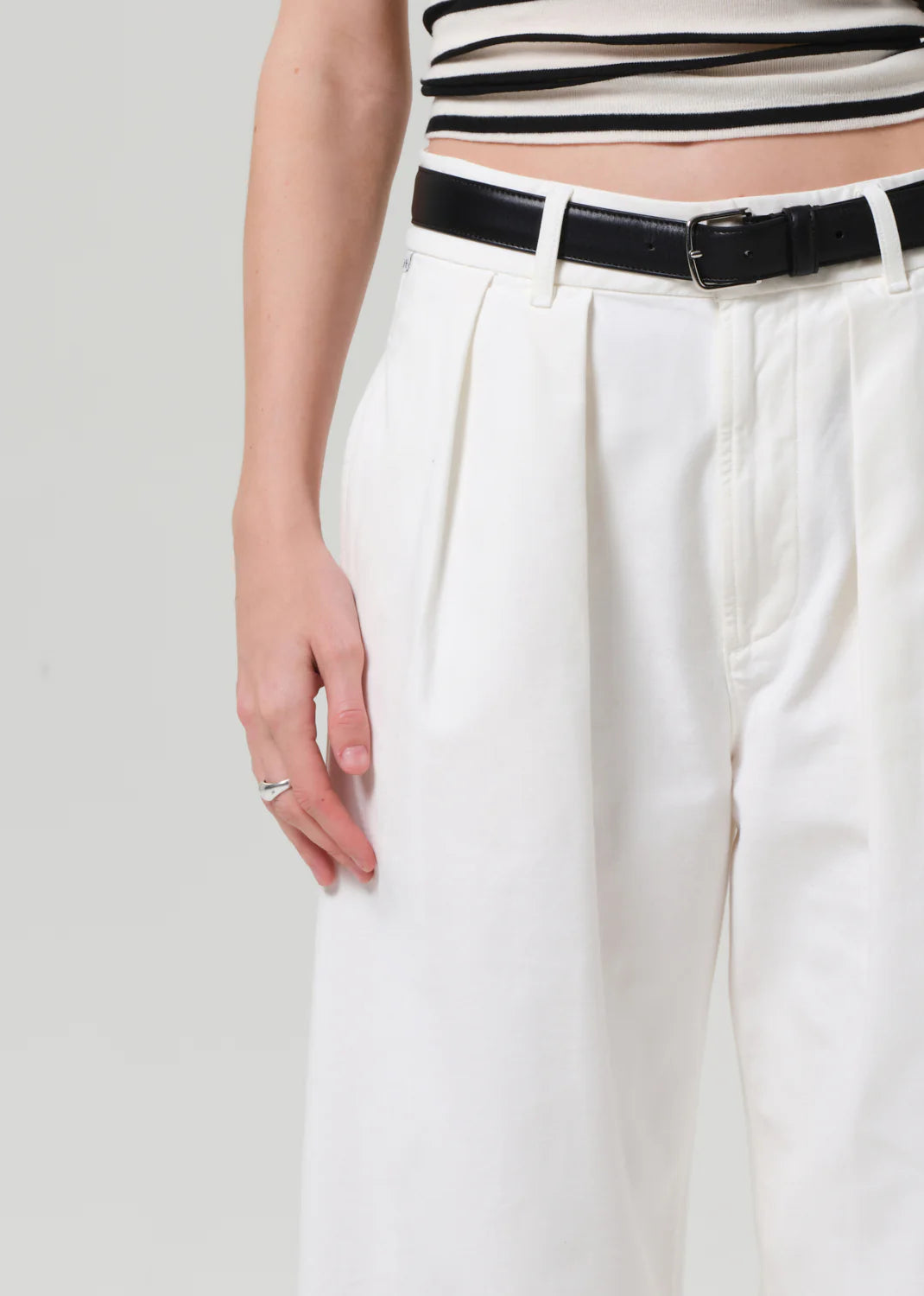 Petra Pleated Trouser in Pashmina