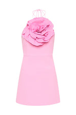 Odetta Halter Mini Dress in Pink