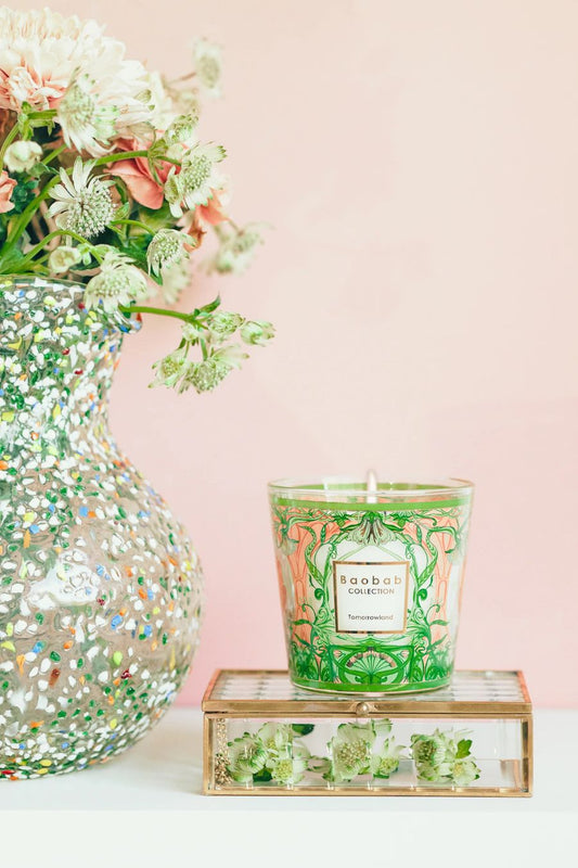 Candle My First Baobab Tomorrowland