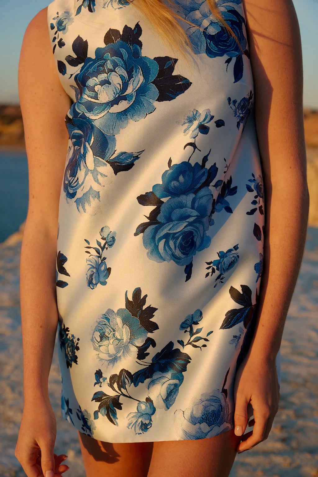 Immy Dress in Blithe Rose