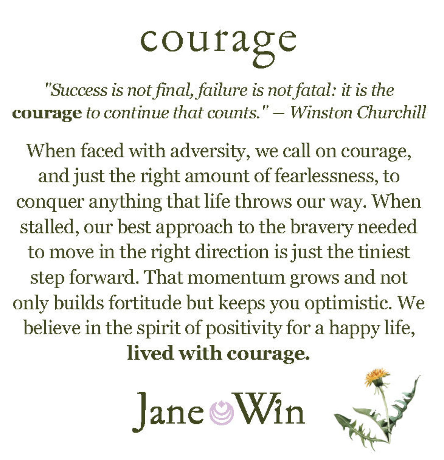 COURAGE JW Original Coin Necklace