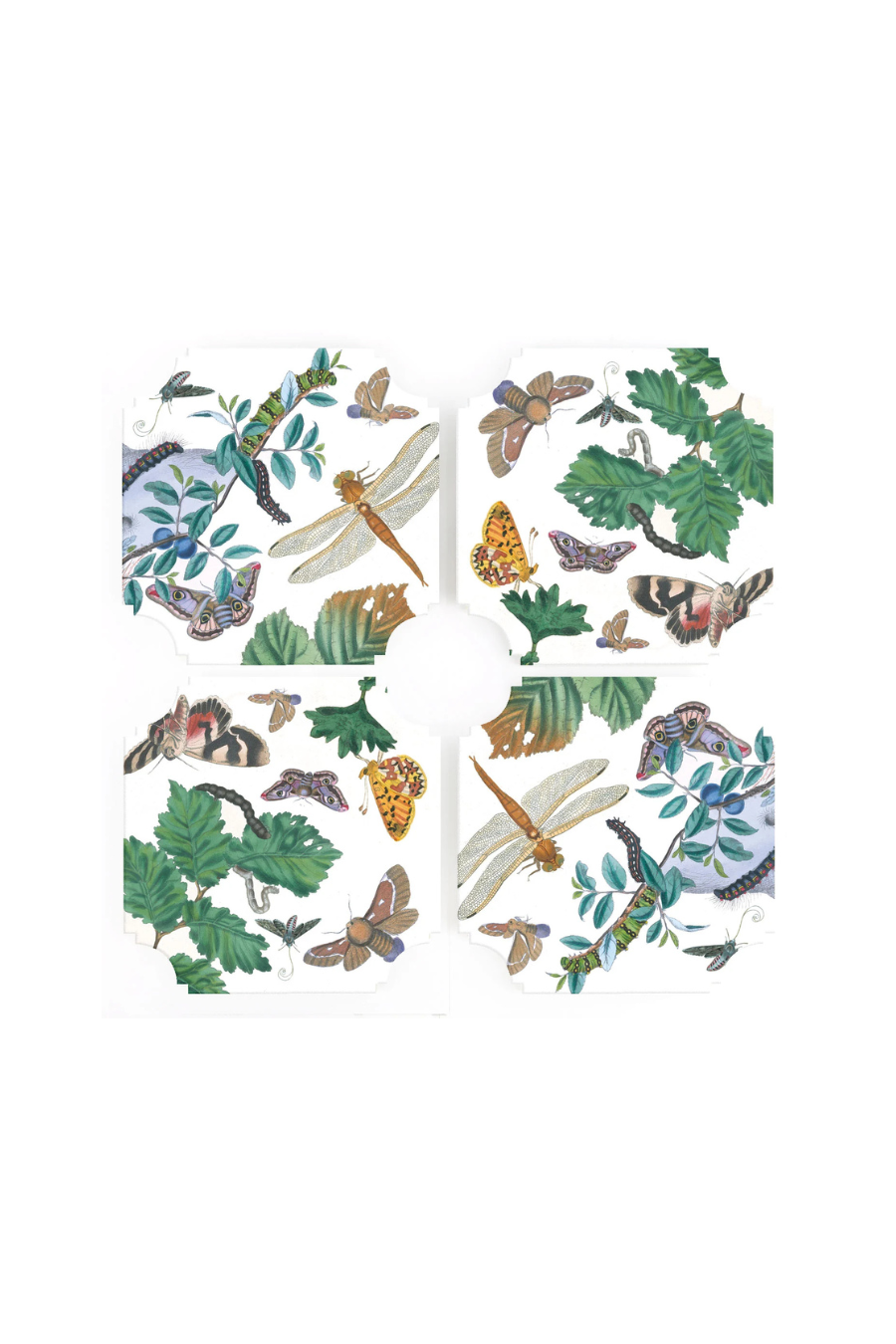 Coasters | English Moths & Insects (Set of Four)