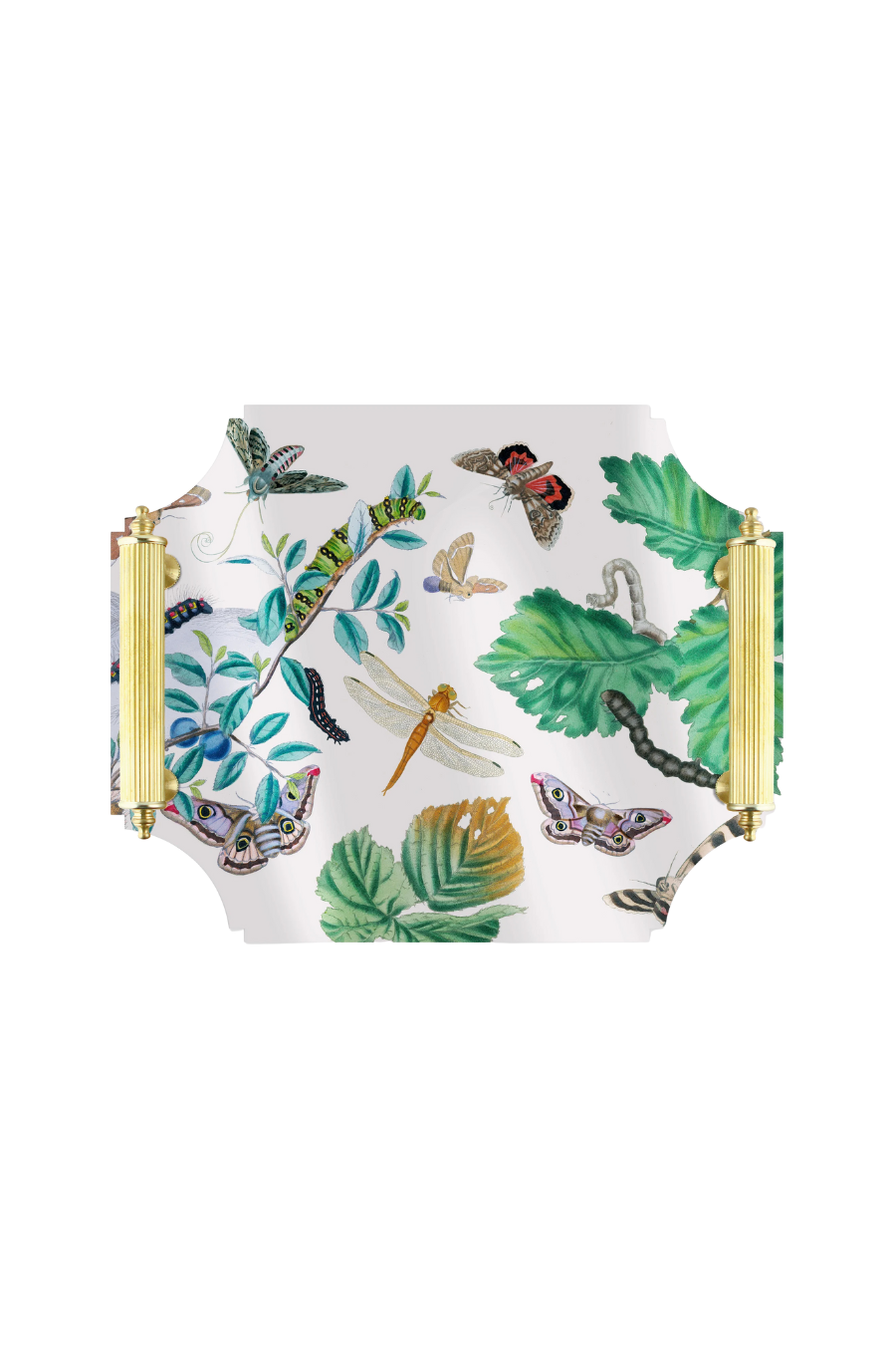 Acrylic Tray | English Moths & Insects with Brass Handles