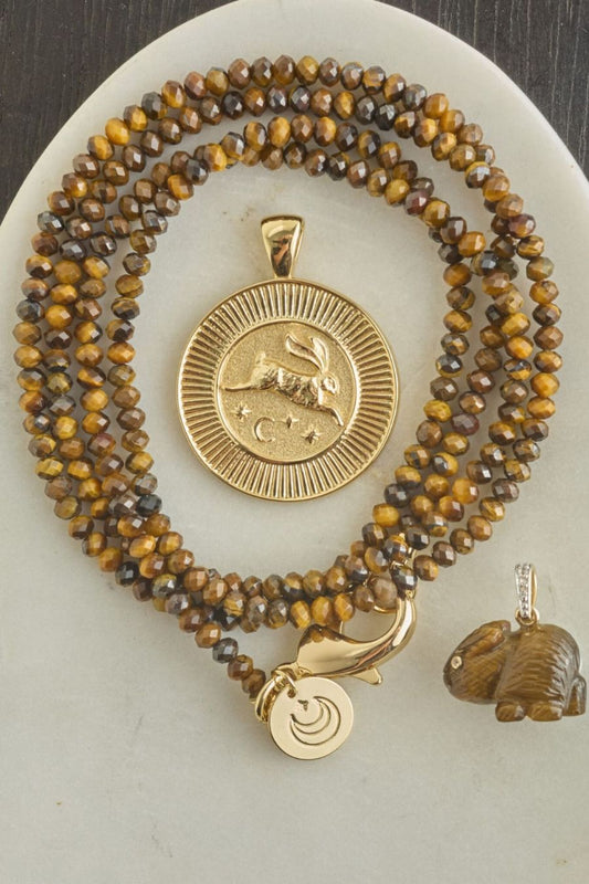 Protect Fox Coin Necklace