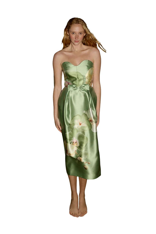 Sophia Dress in Meadow Phalae