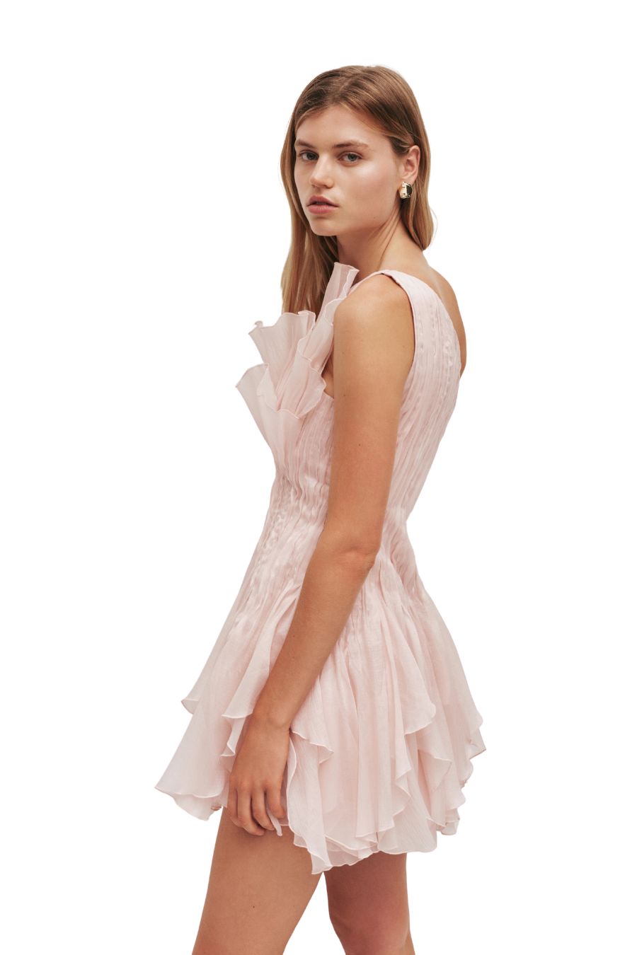 Nisha Mini Dress in Rosewater