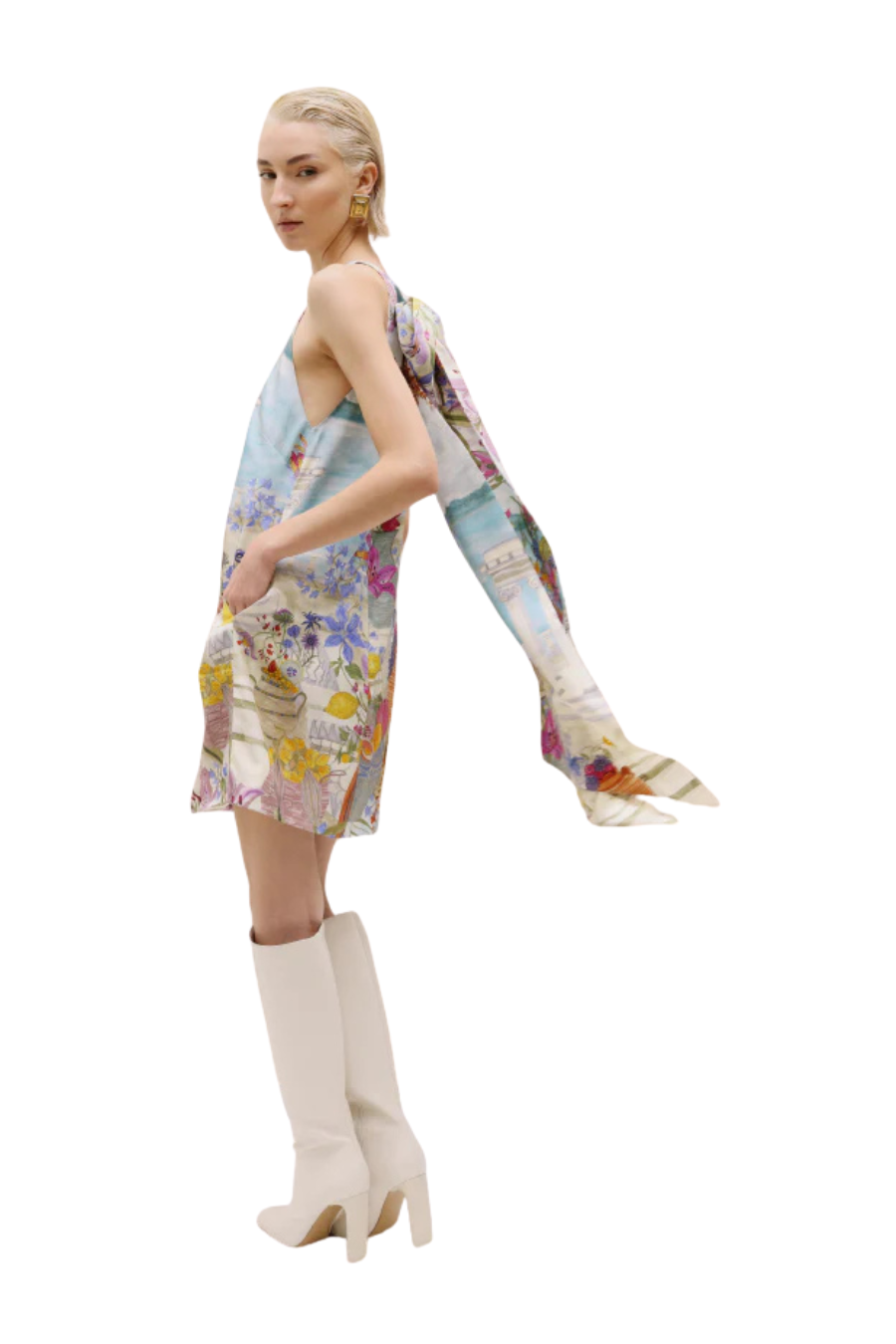 Antheia Dress in Marena