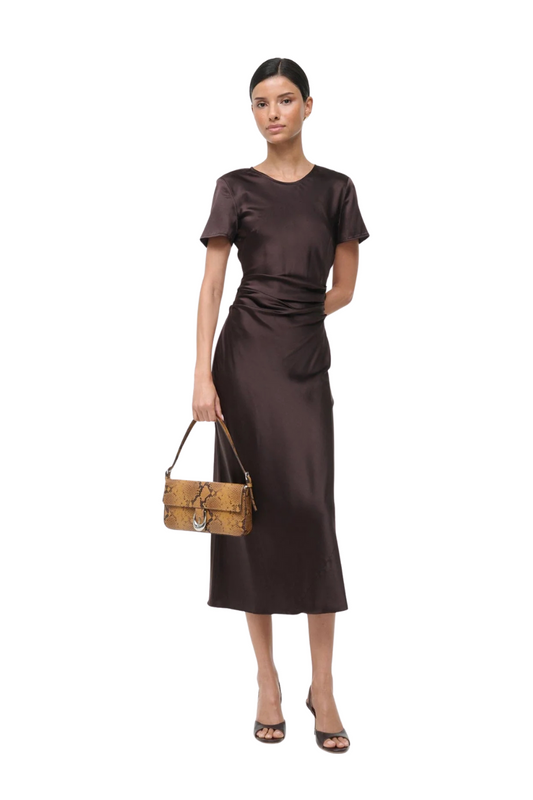 Marcel Silk Dress in Earth