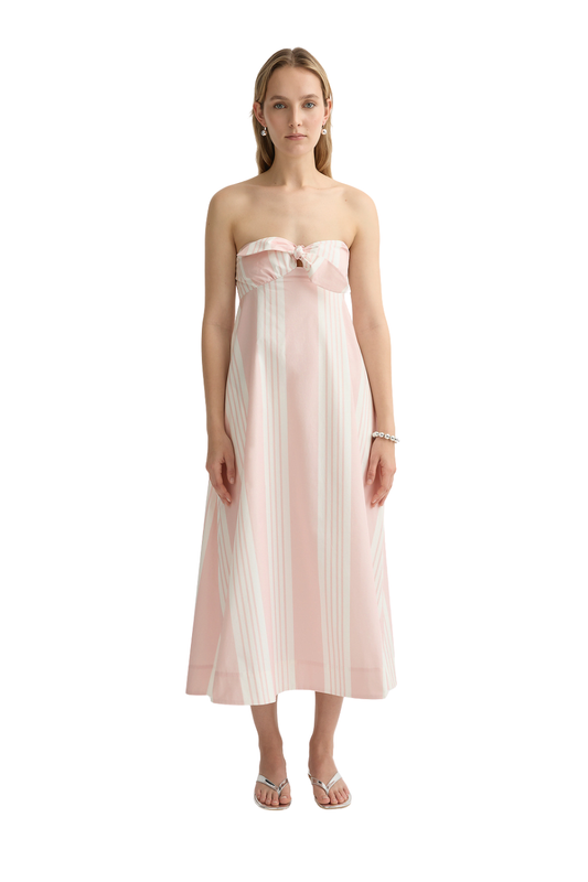 Rosie Strapless Dress in Pink Stripe