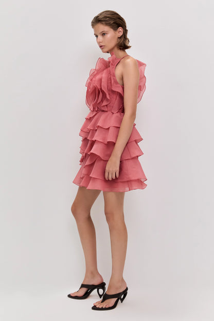 Cleo Mini Dress in Spiced Coral