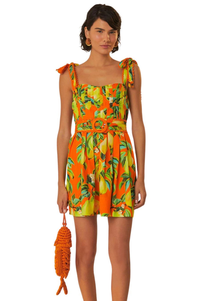Orange Chic Pears Organic Cotton Mini Dress
