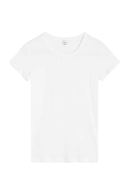 Pointelle Slim Fit Tee in White