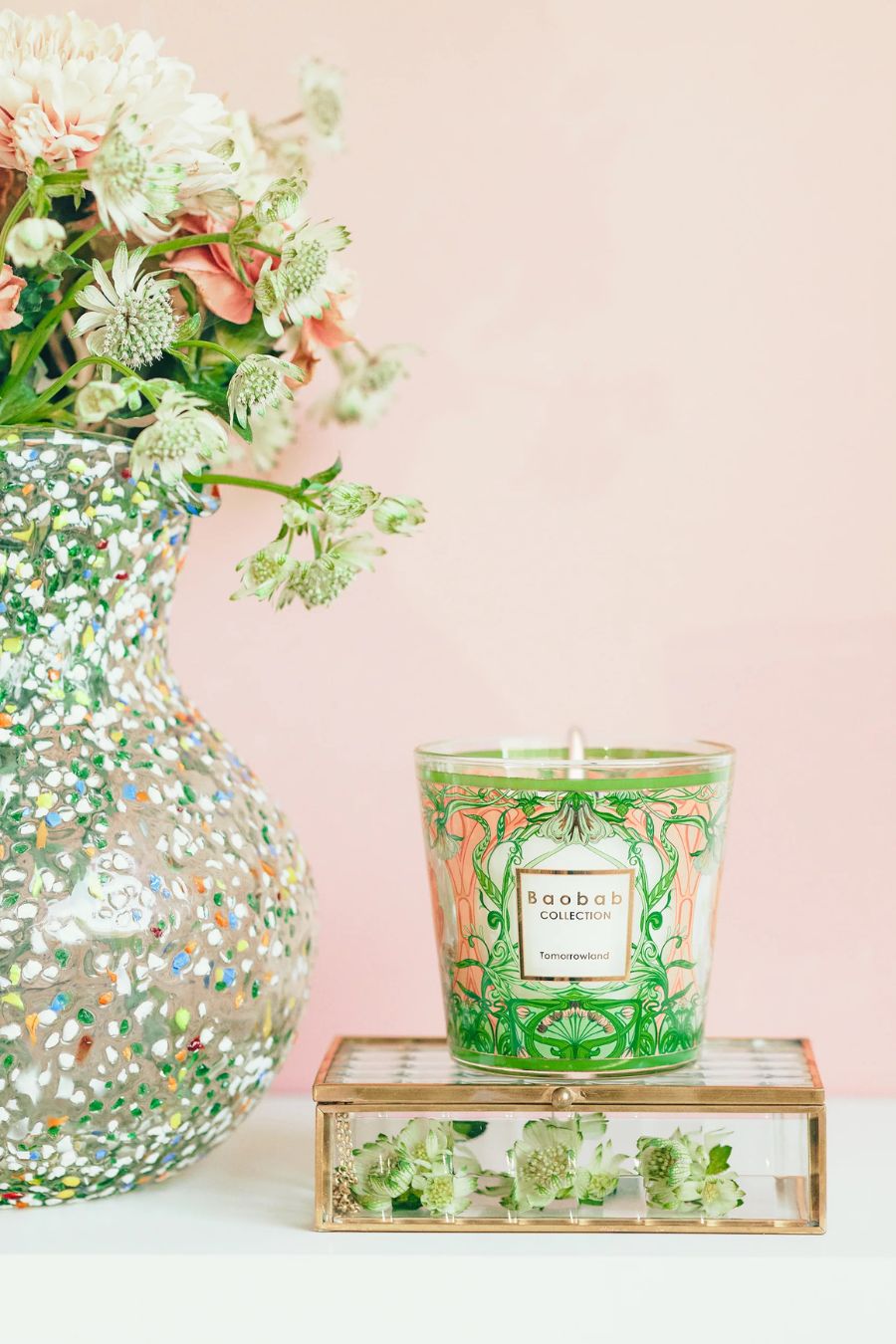 Candle My First Baobab Tomorrowland