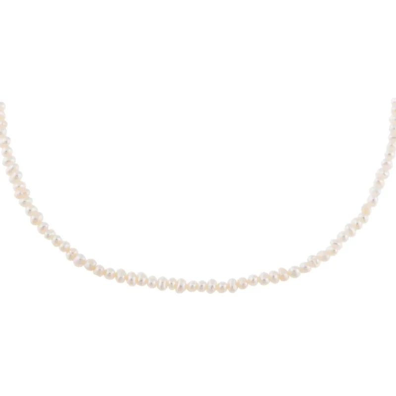 
            
                Load image into Gallery viewer, Tiny Pearl Choker
            
        