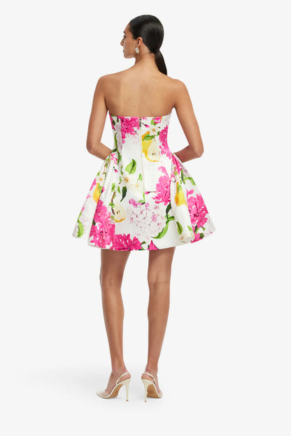 Reese Bustier Mini Dress