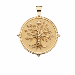 
            
                Load image into Gallery viewer, FAITH JW Original Pendant Coin
            
        