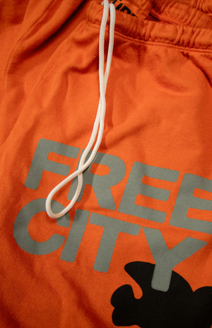 
            
                Load image into Gallery viewer, FREECITYlarge sweatpant in Orangemachine
            
        