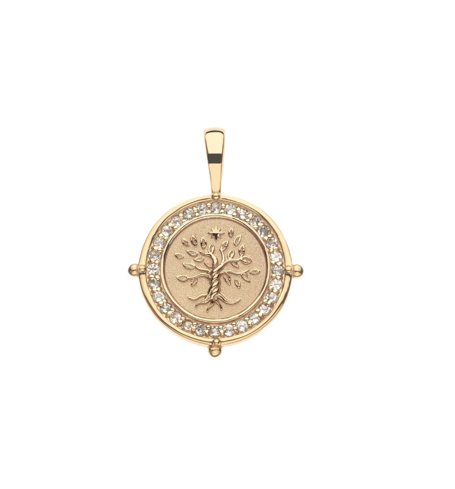 
            
                Load image into Gallery viewer, FAITH Petite Embellished Coin Necklace
            
        