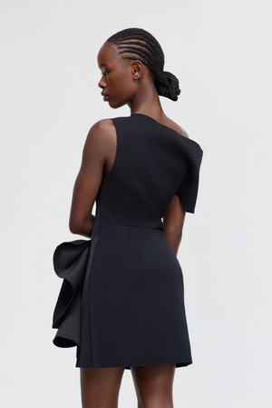 Eddington Mini Dress in Black