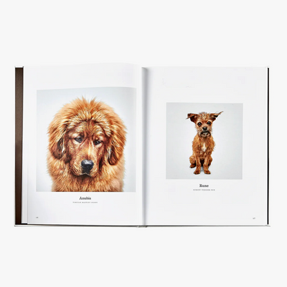 Good Dog: A Selection of Portraits by Randal Ford