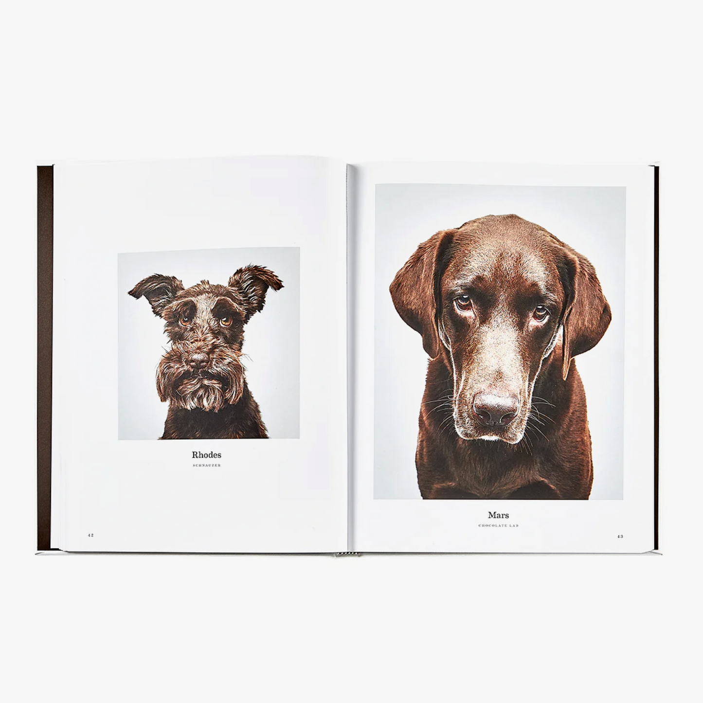 Good Dog: A Selection of Portraits by Randal Ford