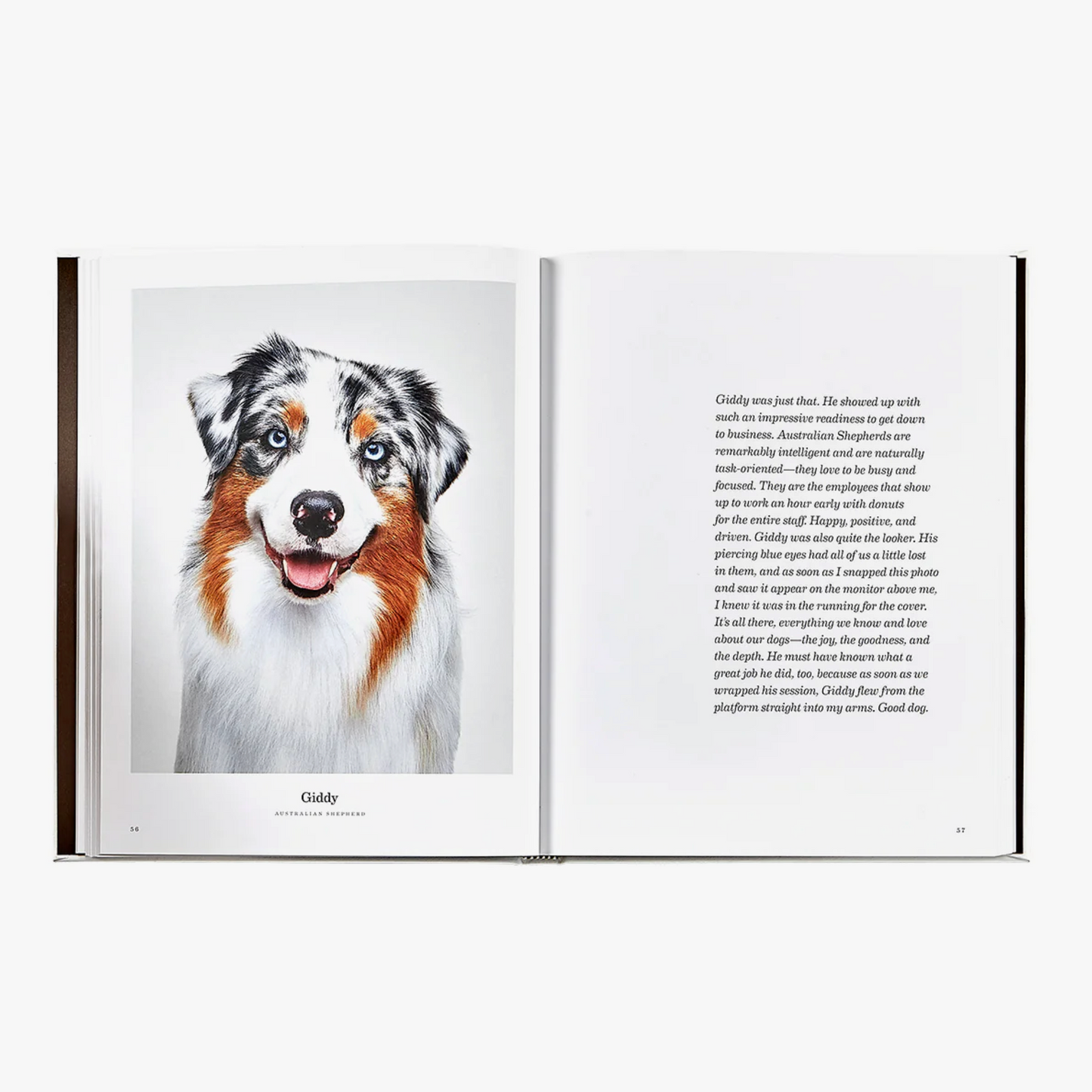 Good Dog: A Selection of Portraits by Randal Ford