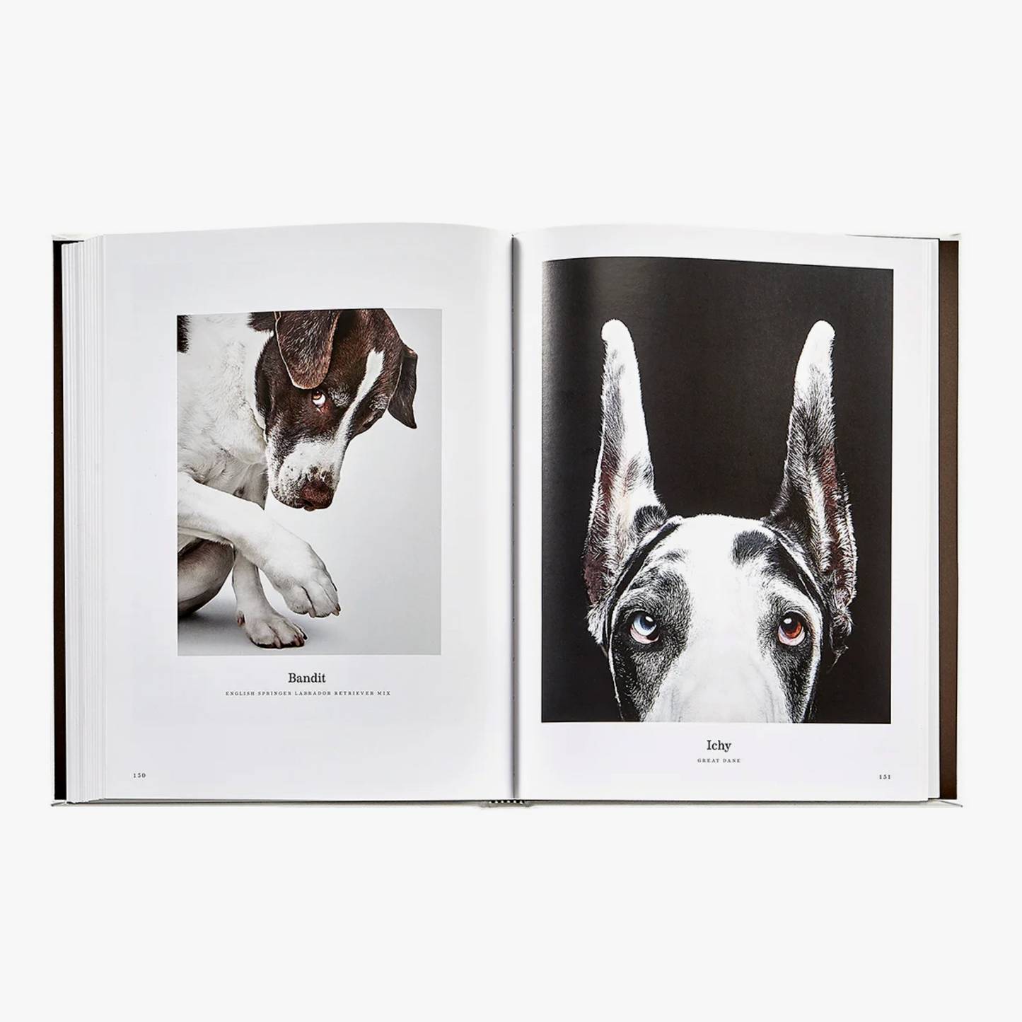 Good Dog: A Selection of Portraits by Randal Ford