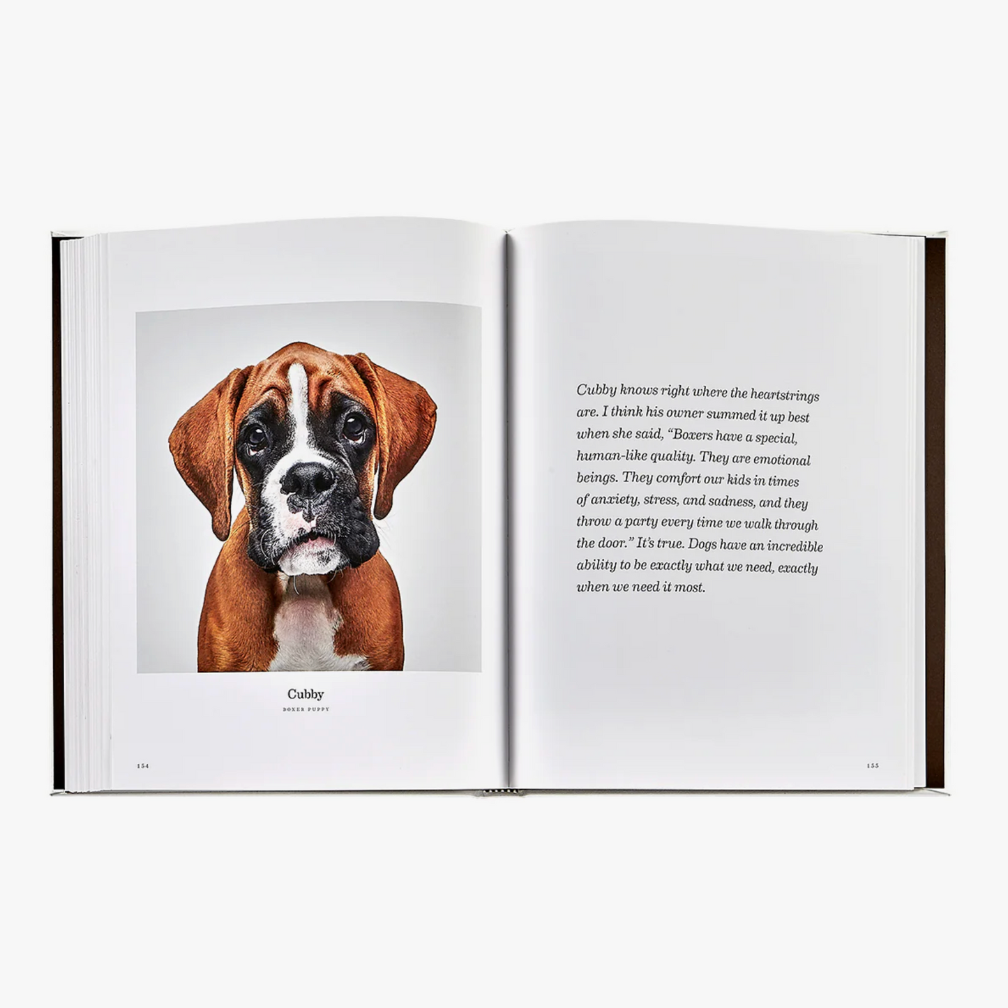 Good Dog: A Selection of Portraits by Randal Ford