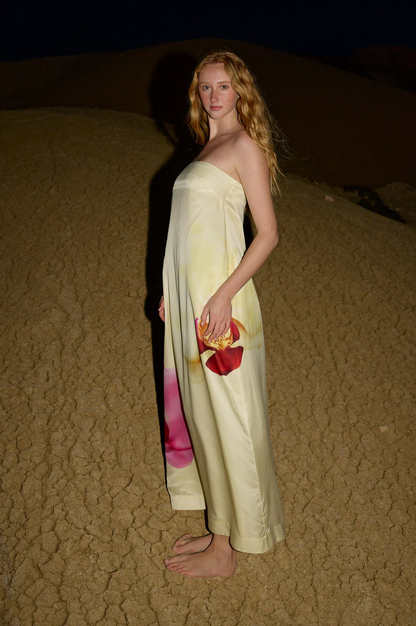 Lucie Dress Elfin Phalae