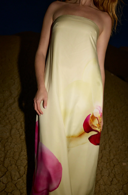 Lucie Dress Elfin Phalae