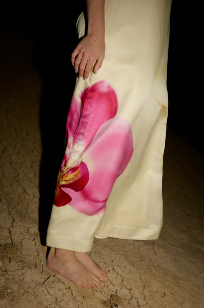 Lucie Dress Elfin Phalae