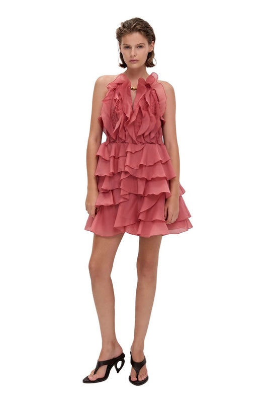 Cleo Mini Dress in Spiced Coral