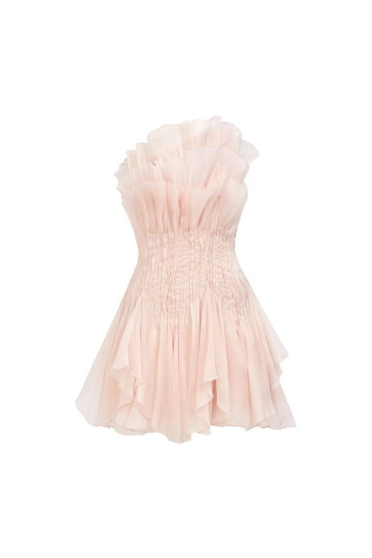 Nisha Mini Dress in Rosewater