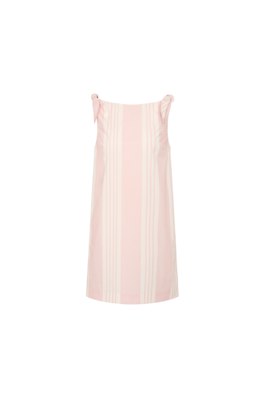 Rosie Mini Dress in Pink Stripe