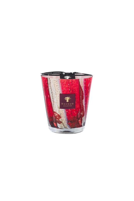 Scented Candle Woods Risoud (Max 16)