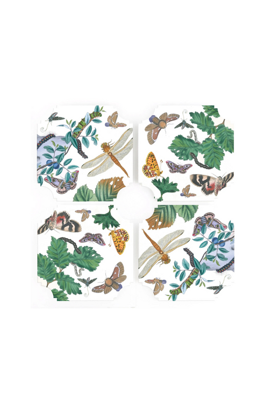 Coasters | English Moths & Insects (Set of Four)