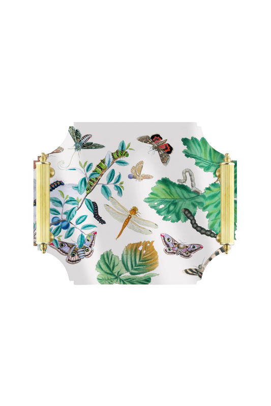 Acrylic Tray | English Moths & Insects with Brass Handles