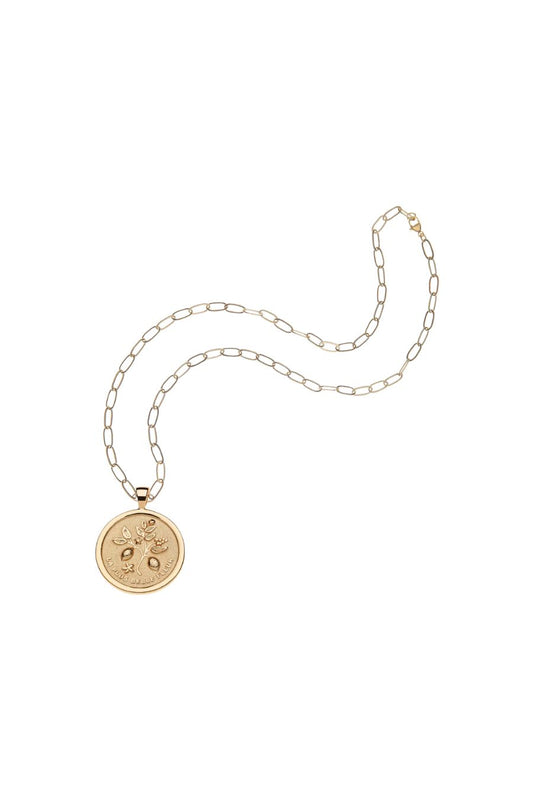 GRATITUDE JW Original Pendant Coin Necklace