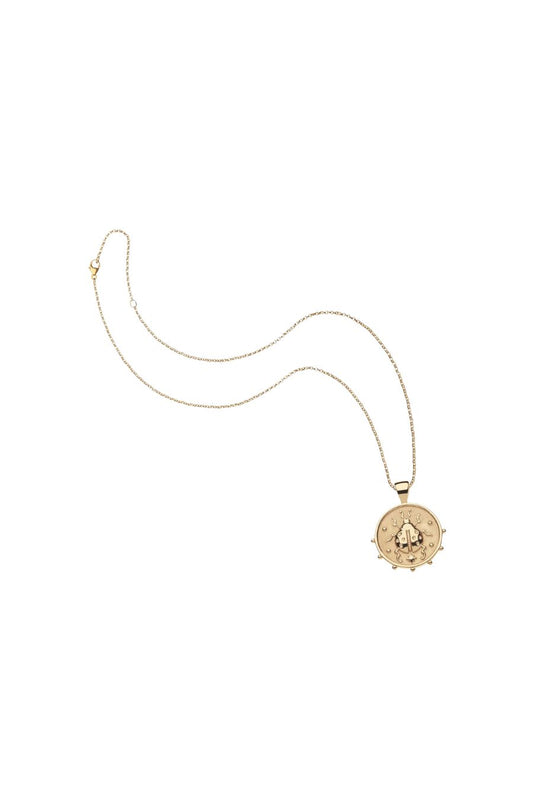 LUCK Be a Ladybug Small Coin Necklace