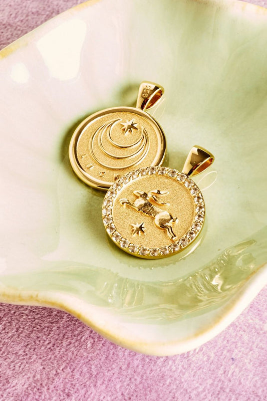 LUCKY Rabbit Small Embellished Coin Necklace-