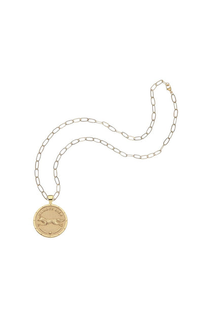 Protect Fox Coin Necklace