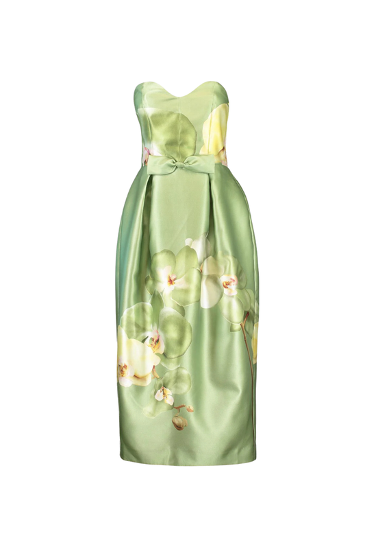 Sophia Dress in Meadow Phalae - 6 Sophia Dress in Meadow Phalae - 6