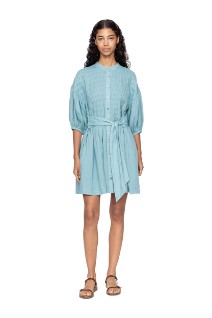 Violet Dress in Blue