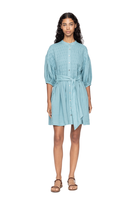 Violet Dress in Blue