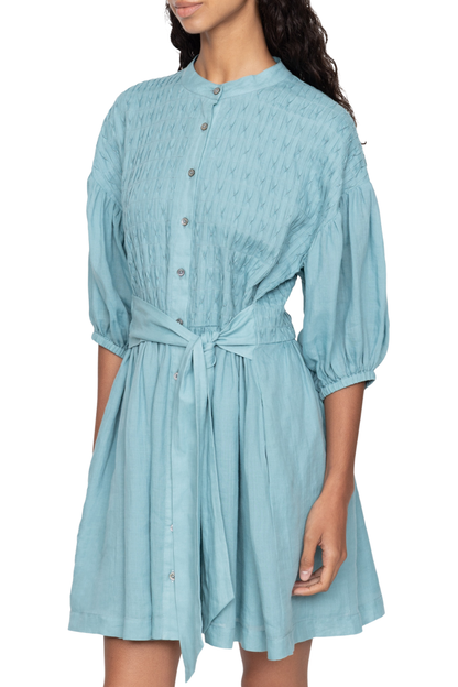 Violet Dress in Blue