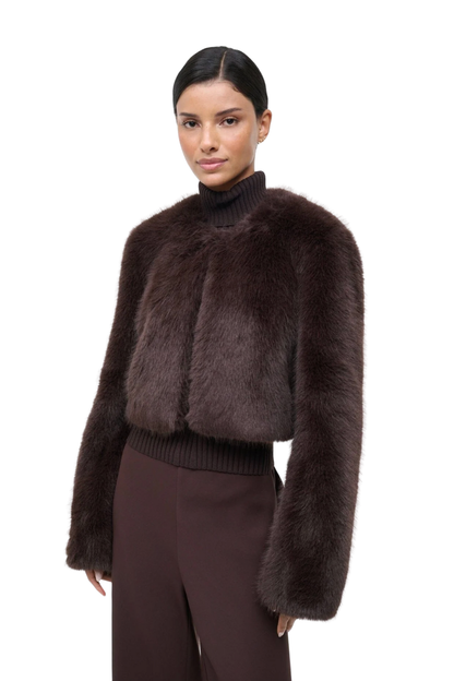 Casimira Jacket in Earth