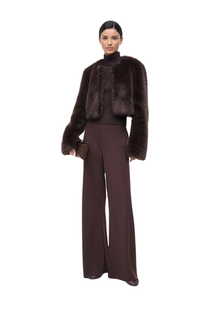 Casimira Jacket in Earth