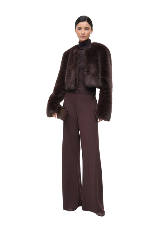 Casimira Jacket in Earth