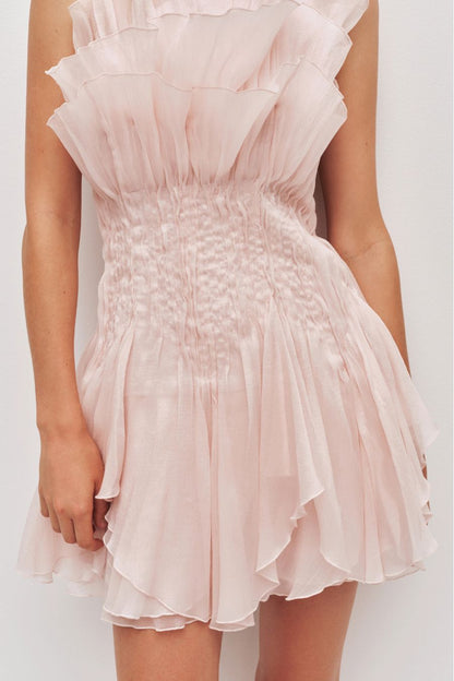 Nisha Mini Dress in Rosewater