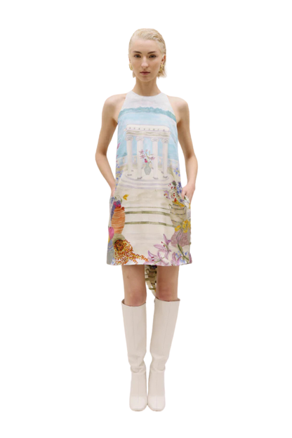 Antheia Dress in Marena